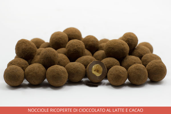 04_Nocciole-ricoperte-di-cioccolato-al-latte-e-cacao_Ambrosio
